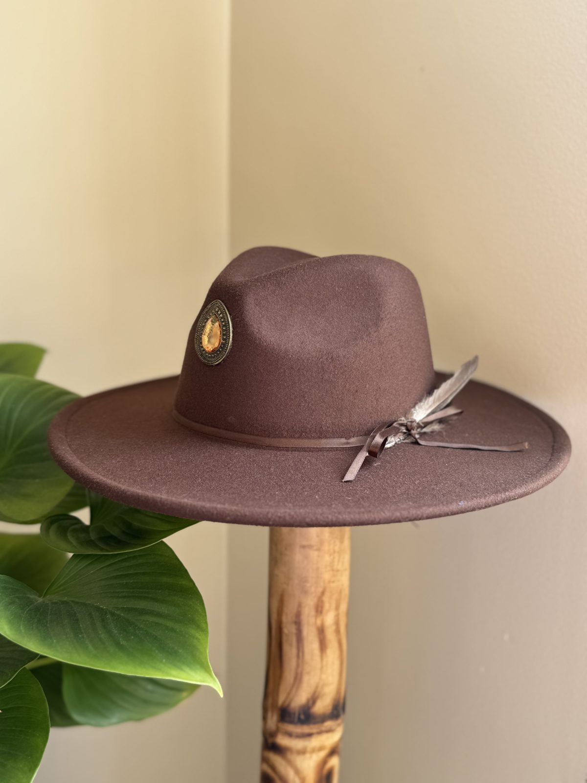 Brown fedora with feather and gold emblem